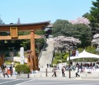 栃木のパワースポット神社にお参りして良縁に恵まれた私の体験談