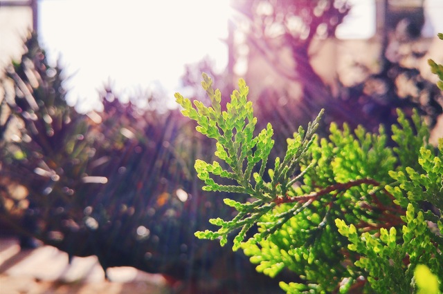 明るい日差しが差し込んできた　Photo By PEXELS