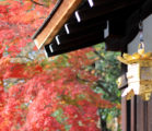 下鴨神社の縁結びの力で長年の片思いが実りました