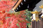 下鴨神社の縁結びの力で長年の片思いが実りました