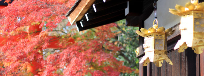 下鴨神社の縁結びの力で長年の片思いが実りました